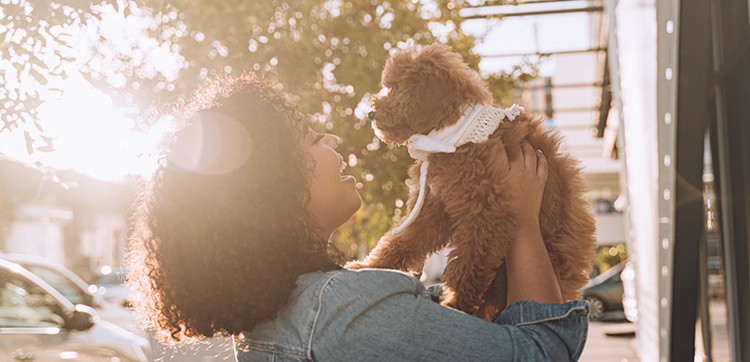 Preparedness with Pets by Dr. Susan Skyler