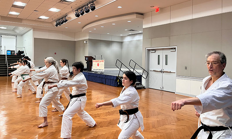 Embracing Budo Philosophy: Resilience through Japanese Karate and Education By Dr. Paul Linehan